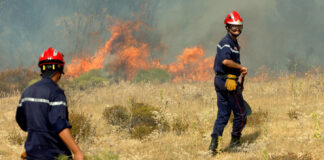 Tiaret: Des mesures supplémentaires pour la protection des forêts contre les incendies