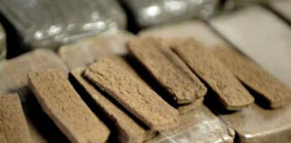Relizane: Démantèlement d’un réseau de narcotrafiquants et saisie de plus de 14 kilos de kif traité
