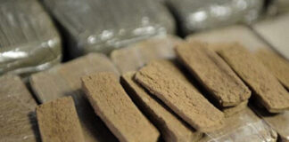 Naâma: Démantèlement d’un réseau criminel et saisie de 50kg de kif traité en provenance du Maroc