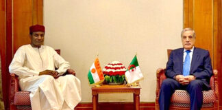 Résolution des crises dans la région du Sahel: Le rôle déterminant de l’Algérie salué