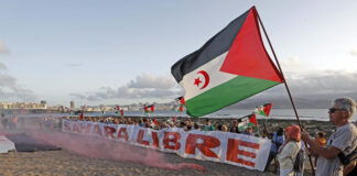 Soutien au plan d’autonomie pour le Sahara occidental: Large condamnation d’une «erreur historique majeure»