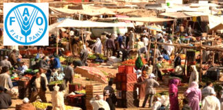 Maroc (FAO): Plus de deux millions de personnes frappées par la sous alimentation