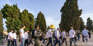 Palestine: Des dizaines de colons sionistes envahissent l’enceinte de la mosquée Al-Aqsa