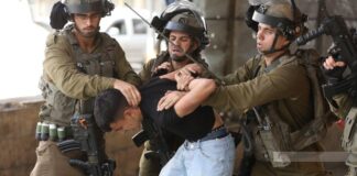 Cisjordanie occupée: Au moins 16 Palestiniens arrêtés par les forces d’occupation sionistes