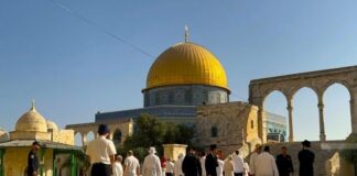 El-Qods occupée: La mosquée Al-Aqsa de nouveau envahie par des colons sionistes