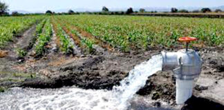 Mascara: Six millions de mètres cubes d’eau réservés à l’irrigation de la plaine de Habra