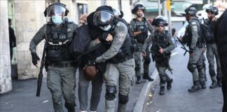 Palestine occupée: 40 Palestiniens arrêtés par les forces sionistes en Cisjordanie