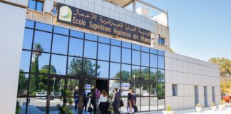ESAA : lancement d’une nouvelle formation d’excellence pour les cadres supérieurs