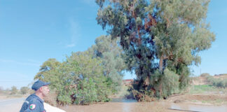 Sidi Bel Abbes: Hausse du niveau d’eau de l’oued Mekerra et fermeture de la RN 13