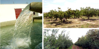 Journée nationale de la vulgarisation agricole: Biskra accueille mardi les festivités officielles