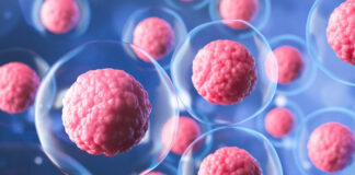 L’être humain pourrait vivre jusqu’à 160 ans grâce à ce mécanisme cellulaire