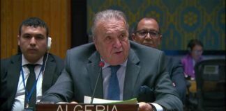 L’Algérie rejoint le «Groupe des amis pour la paix» pour la résolution de la crise ukrainienne