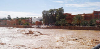 Ghardaïa: Les récentes précipitations font renaître l’espoir des agriculteurs et éleveurs