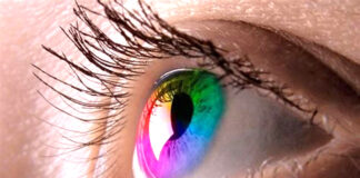 Les yeux sont le miroir de l’âme selon les scientifiques