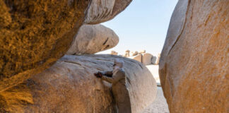 “Les mentalités changent”: Comment l’Algérie s’ouvre prudemment au tourisme