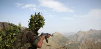 MDN: Deux terroristes abattus et 12 éléments de soutien arrêtés en une semaine