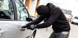 Oran: Démantèlement d’un réseau criminel international spécialisé dans le vol de véhicules