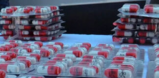 Sidi Bel Abbes: 100 500 comprimés de psychotropes saisis et deux individus arrêtés