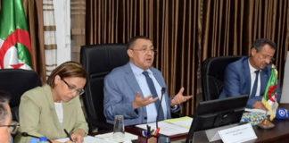 Intempéries à Béchar: L’Etat prendra en charge les préoccupations des habitants