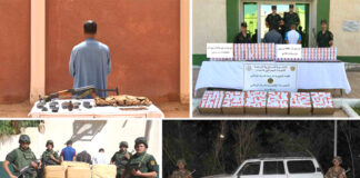 Les forces de l’ANP scrutent le moindre bruit sur les frontières: Professionnalisme, vigilance et sa disponibilité permanente