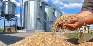 El-Meniaâ: Lancement des travaux de quatre centres de proximité de stockage de céréales