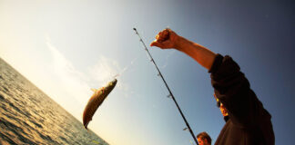 La 8ème édition de pêche en surfcasting les 24 et 25 octobre à la plage de Marsa Ben M’hidi