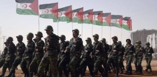 L’armée sahraouie cible des retranchements de l’armée d’occupation marocaine dans les secteurs de Haouza et El Farsiya