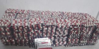 Mascara: Saisie de 15.000 comprimés de psychotropes et arrestation de 9 individus