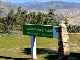 Tissemsilt: Le parc national de Theniet El-Had renforcé par de nouveaux équipements