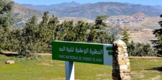 Tissemsilt: Le parc national de Theniet El-Had renforcé par de nouveaux équipements
