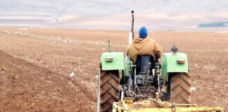 Médéa: 130 mille hectares à emblaver pour la présente campagne labour-Semailles