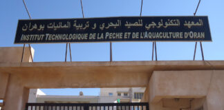 Oran: 500 marins formés chaque année depuis 2020 à l’Institut des techniques de pêche et d’aquaculture