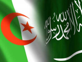 El Menéa: Partenariat algéro-saoudien dans la mise en valeur agricole, une expérience novatrice