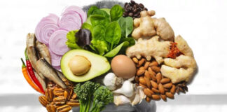 Les carences de ces deux nutriments accélèrent le vieillissement du cerveau