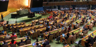 Palestine: Une Commission de l’ONU appelle à une « action collective » contre l’occupation sioniste des territoires palestiniens