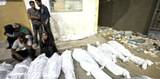 Palestine: L’émissaire de l’ONU pour paix au Moyen-Orient condamne la frappe sioniste sur « Beit Lahia »