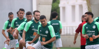 Equipe nationale: La filière allemande