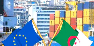 Place de l’’Europe et de l’Algérie au sein de l’économie mondiale via le poids du G7, du G20, des Brics+: Perspectives de l’Accord d’Association