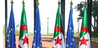 Place de l’Europe et de l’Algérie au sein de l’économie mondiale via le poids du G7, du G20, des Brics+: Perspectives de l’Accord d’Association