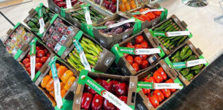 ALGEX: Organisation de 6 expositions des produits algériens à l’étranger en 2025