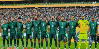 Equipe nationale: Quelle version des Verts en 2025 ?