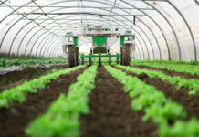 Coopératives agricoles pour réduire 10 milliards de dollars d’importations: 40 millions d’hectares disponibles un cadre légal attendu avant fin mars