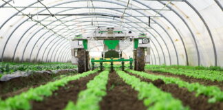 Coopératives agricoles pour réduire 10 milliards de dollars d’importations: 40 millions d’hectares disponibles un cadre légal attendu avant fin mars