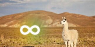 Meta offre ses modèles d’IA Llama aux agences gouvernementales américaines