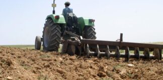 Médéa: Des dispositions pour la réussite de la campagne labours-semailles