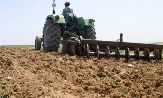 Médéa des dispositions pour la réussite de la campagne labours-semailles