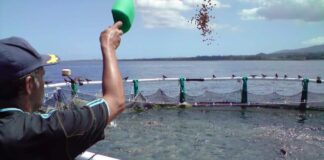 Pêche et aquaculture: Des opportunités d’investissement « prometteuses »