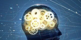 La mémoire au-delà du cerveau, selon une étude