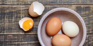 Œufs: Un aliment réhabilité pour la santé et les fonctions cognitives