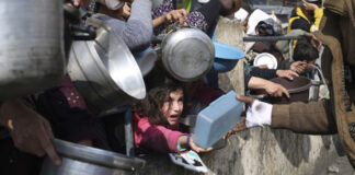 Palestine: Exécutions sur le terrain, famine et déplacements forcés par l’entité sioniste, dans le Nord de Ghaza